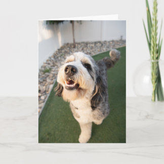 Cartão Cachorro Fofo