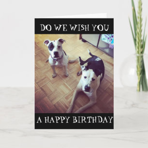 CARTÃO *CACHORRO FOI CERTO* DESEJAMOS UM ANIVERSÁRIO FELI