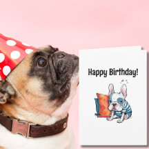 cachorro francês fofo, animal vestido, Aniversário