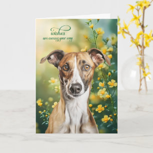 Cartão Cachorro Galgo Pequenas Flores Amarelas Melhoras