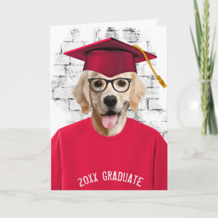 Cartão cachorro golden retriever de formatura com camiset