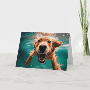 Cartão Cachorro Golden Retriever Feliz Nadando Embaixo d'