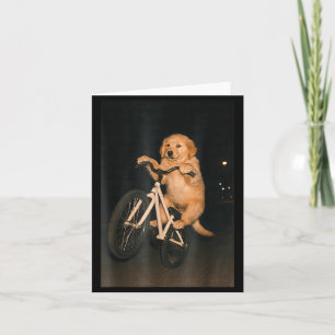 Cartão Cachorro Golden Retriever Fofo Em Bicicleta Animal