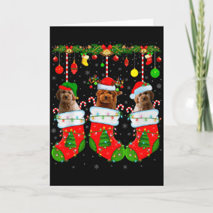 Cartão Cachorro Goldendoodle em Meias de Natal Cachorro d