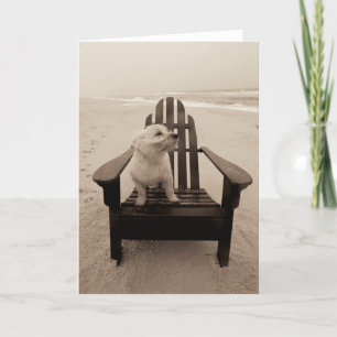Cartão Cachorro gostando da praia