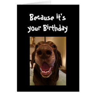 Cartão Cachorro Grande Engraçado Cachorro de Amo de Anive