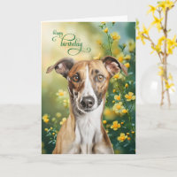 Cachorro Greyhound Pequenas Flores Amarelas Aniver