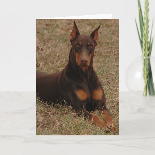 Cartão Cachorro-Guarda (Frente)