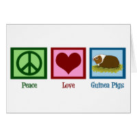 Cachorro-guincho Pig Peace Love Guiné Play Card