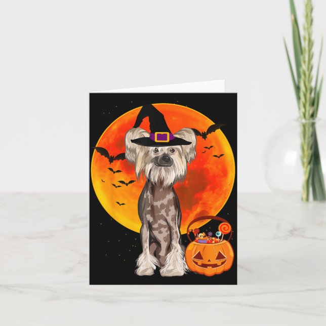 Cartão Cachorro Halloween Crista Chinesa Abóbora Lanterna (Frente)