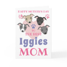 Cachorro Italiano Cachorro Mamãe Fofo Ganha Texto