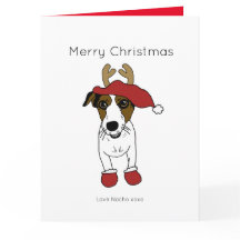 Cachorro Jack Russell Terrier Fofo de Natal Papai 