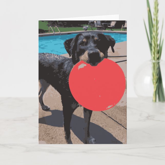 Cartão Cachorro Jogando Piscina de Nadação de Frisbee (Frente)