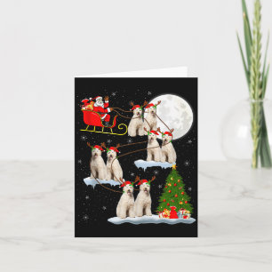 Cartão Cachorro Labradoodle Papai Noel Trenó Voador Diver