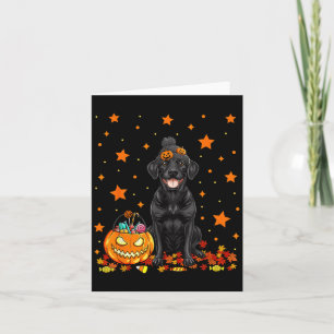 Cartão Cachorro Labrador Preto e Doce de Abóbora Engraçad