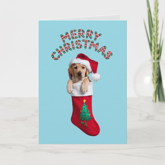 Cartão Cachorro Labrador Retriever Fofo de Natal  (Frente)