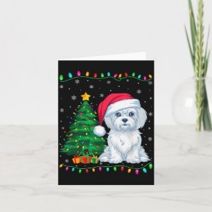 Cartão Cachorro Maltês Chapéu de Papai Noel Homens Mulher