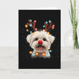 Cartão Cachorro Maltês Fofo Rena de Natal