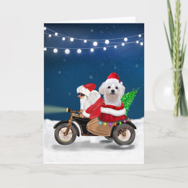 Cartão Cachorro Maltês Natal Papai Noel (Frente)