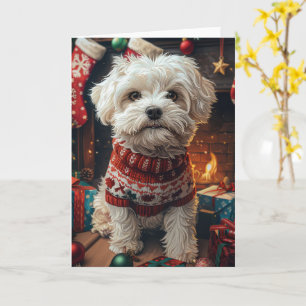 Cartão Cachorro Malti Tzu com Presentes de Natal Lareira 