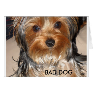 Cartão Cachorro Mau