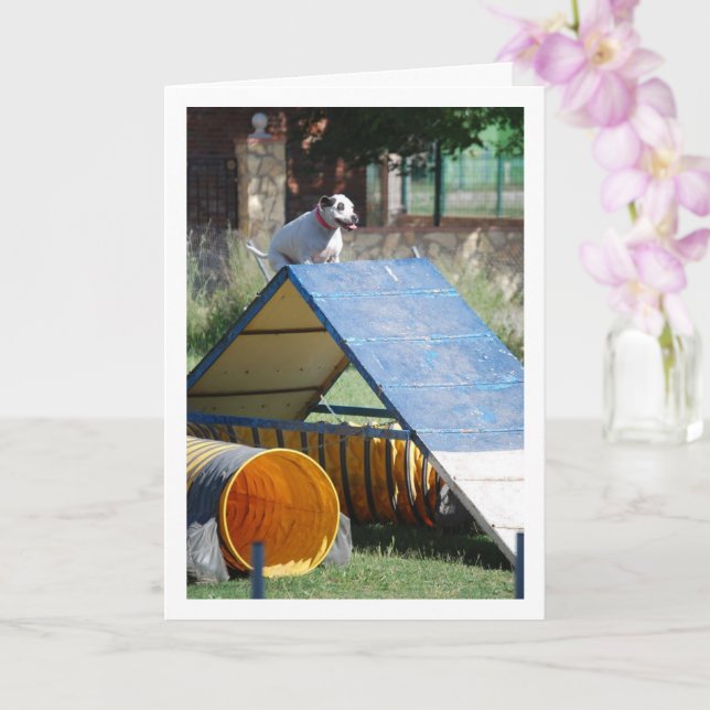 Cartão Cachorro na Escola de Treinamento (Orquídea)