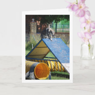 Cartão Cachorro na Escola de Treinamento