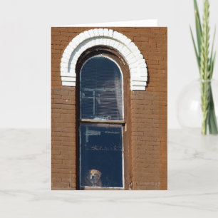 Cartão Cachorro na janela