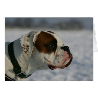 Cartão Cachorro na neve