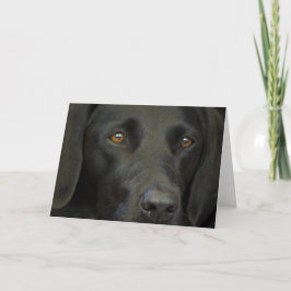 Cartão Cachorro Negro Labrador