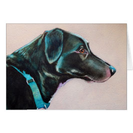 Cartão Cachorro Negro Penoso