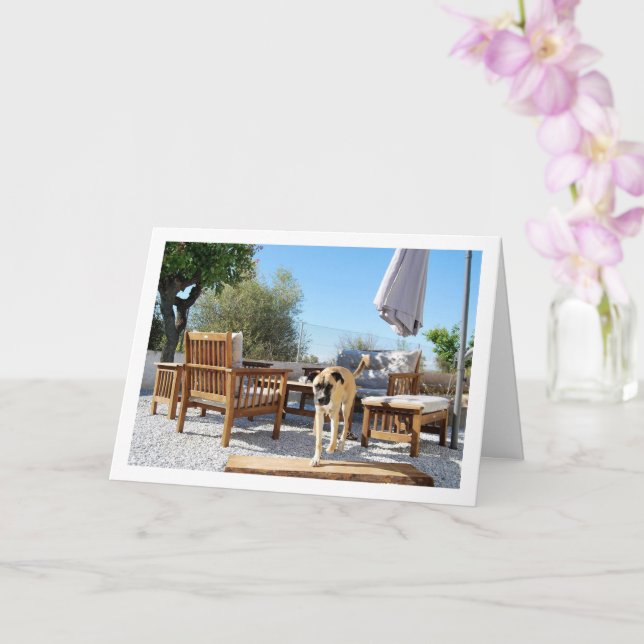 Cartão Cachorro no Jardim (Orquídea)