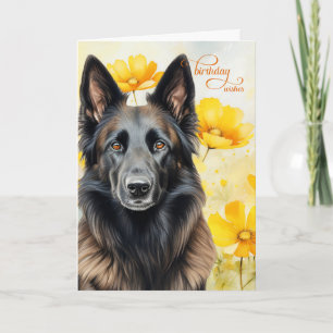Cartão Cachorro-Ouro belga Tervuren Aniversário