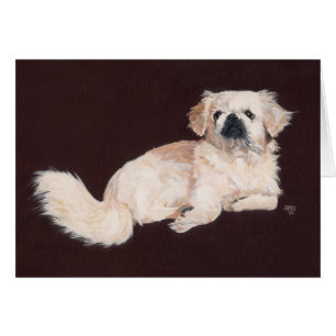 Cartão Cachorro Pequinês Branco