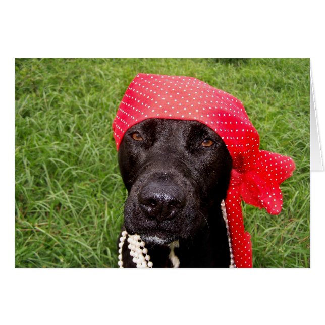Cartão Cachorro pirata, laboratório negro, grama verde-co (Frente Horizontal)