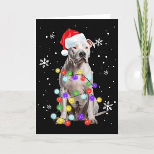 Cartão Cachorro Pitbull Alegres Dogmas Papai Noel Pitbull