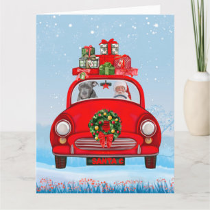 Cartão Cachorro Pitbull Em Carro Com Papai Noel 