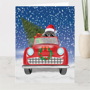Cartão Cachorro Poodle Dirigindo Carro Na Neve Natal