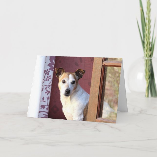 Cartão Cachorro Que Falta (Frente)