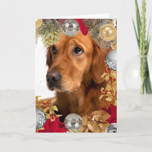 Cartão Cachorro Retriever Dourado com Festa de Coroa de N