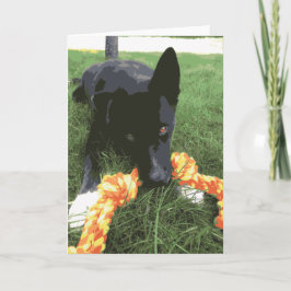 Cartão Cachorro Rouco Bonito Com Toy Black