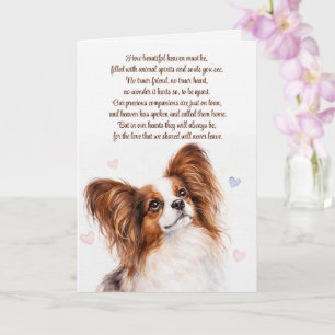 Cartão Cachorro Simpatia Papillon Cachorro Borboleta Cach
