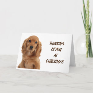 CARTÃO CACHORRO, VETERINÁRIO E CAMARÃO DE CACHORRO