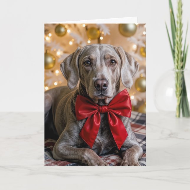 Cartão Cachorro Weimaraner de Natal Com Laço Vermelho (Frente)