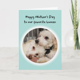 Cartão Cachorros bonitos Você é meu Dia de as mães Humano