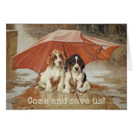 Cartão Cachorros de basset sob o guarda-chuva CC0190