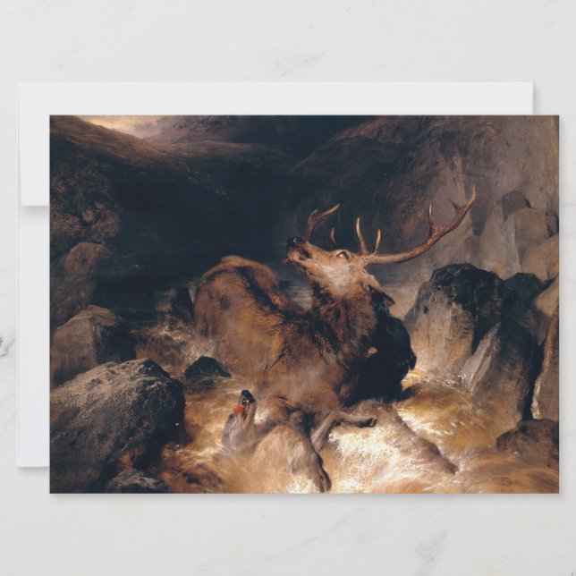 Cartão Cachorros de veados e cães em torrente de montanha (Frente)