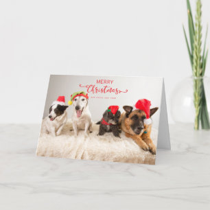 Cartão Cachorros Felizes de Natal em Santa Hats