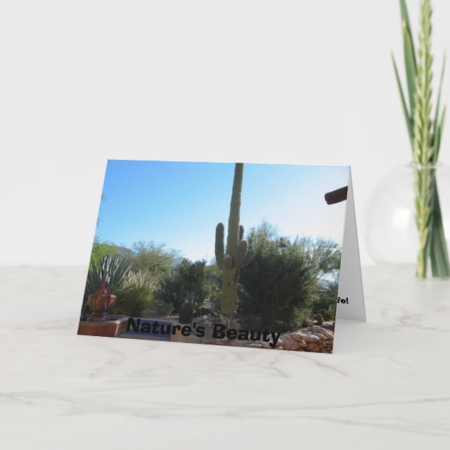 Cartão Cacto, a beleza da natureza (Frente)