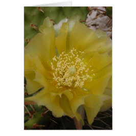 Cartão Cacto Amarelo em Flor